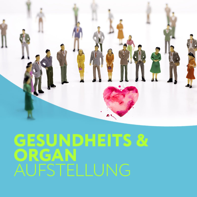 Seminar: Gesundheit & Organ Aufstellung