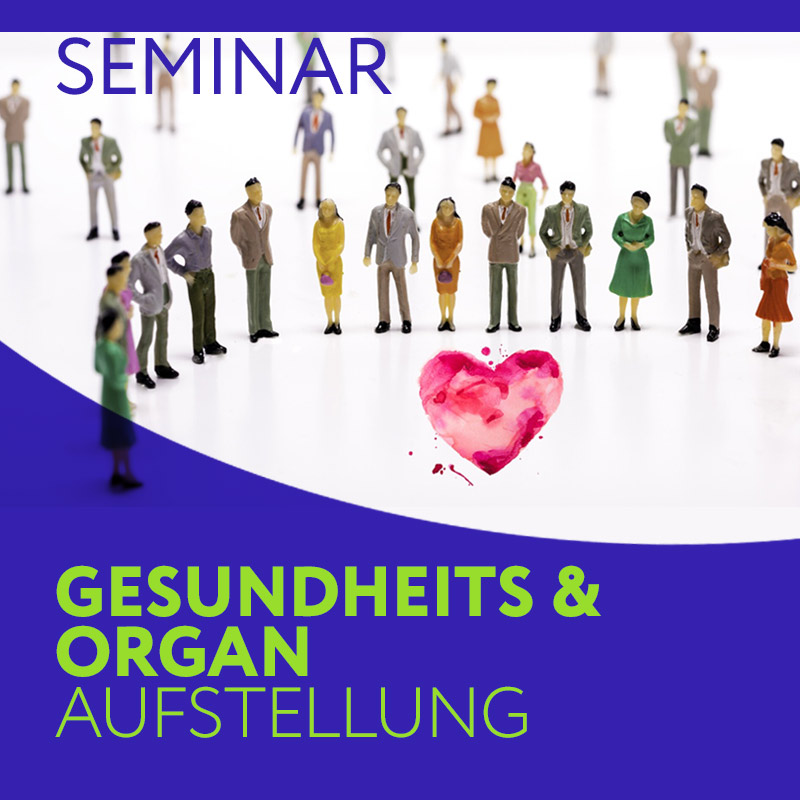 Seminar: Gesundheit & Organ Aufstellung