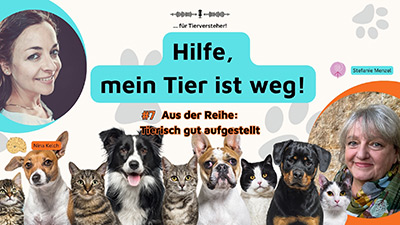 Hilfe, mein Tier ist weg!