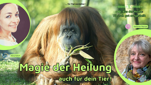Magie der Heilung – auch für Tiere!