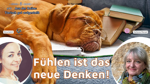 Fühlen ist das neue Denken